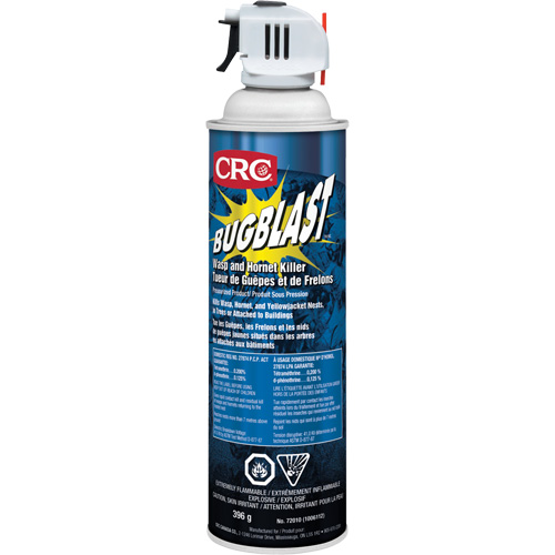 Insecticide Bug Blast, 397 g, &agrave; base de solvant Action Paper
