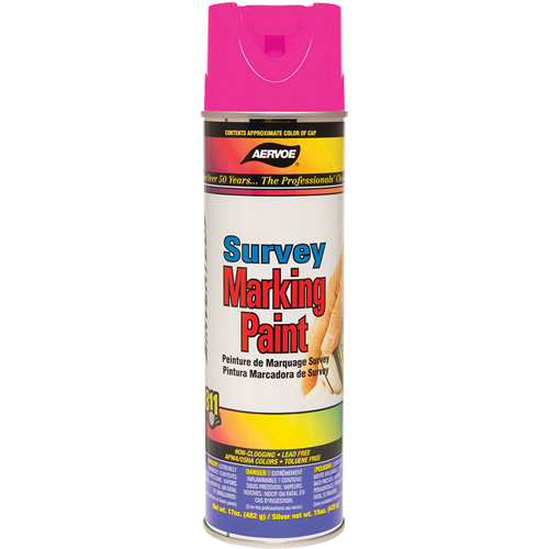 Solvent-Based Marking Paint, 17 oz., Aerosol Can Action Paper