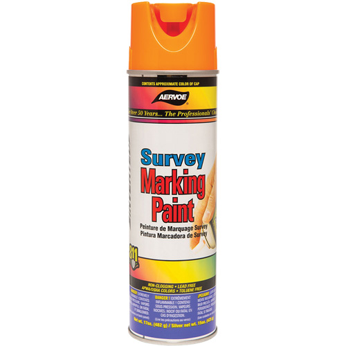 Solvent-Based Marking Paint, 17 oz., Aerosol Can Action Paper