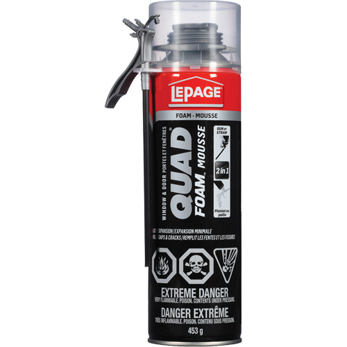 Quad&reg; Foam Window & Door Installation Foam, Aerosol Can, Tan Action Paper