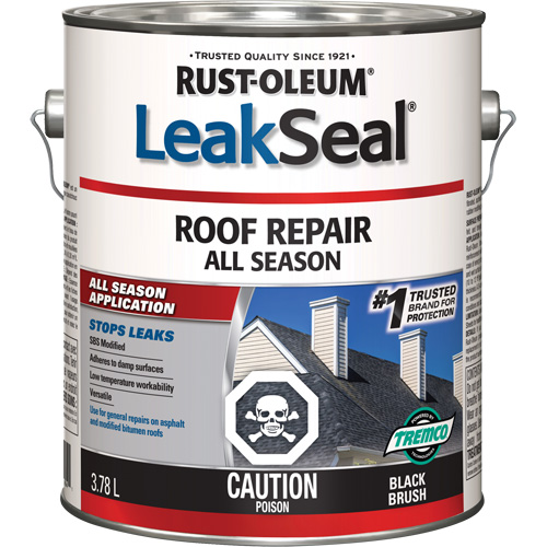 LeakSeal&reg; All-Season Roof Repair Action Paper