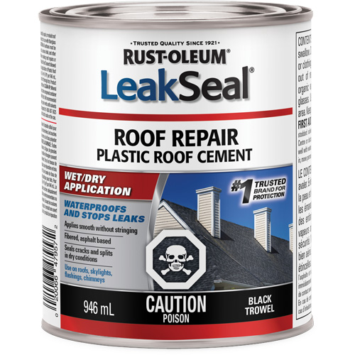 LeakSeal&reg; Wet/Dry Roof Repair Action Paper