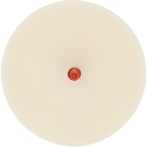 Disque pour enlever les bandes et les adh&eacute;sifs pour moulures Scotch-Brite, 4" dia. Action Paper