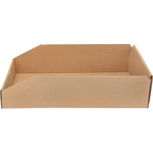 Boîtes profondes en carton ondul&eacute;, 9-3/4" la x 17-1/4" p x 4-1/2" h, Beige Action Paper