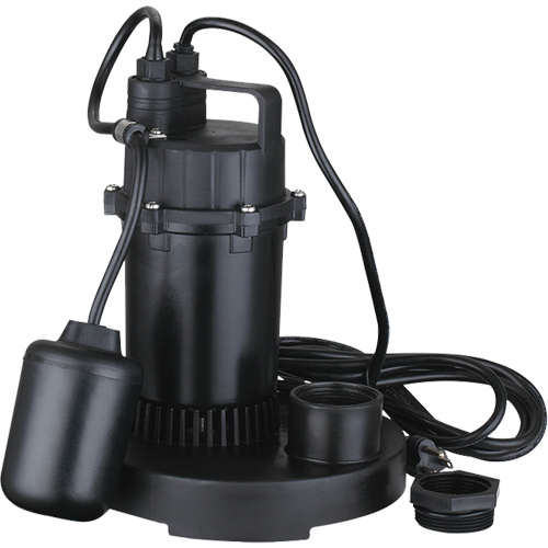 Pompe de puisard submersible thermoplastique, 2560 gal./h, 115 V, 4,6 A, 1/3 CV Action Paper