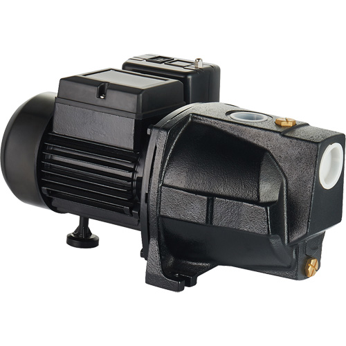 Pompe &agrave; jet en fonte &agrave; double tension pour puit peu profond, 115 V/230 V, 1100 gal./h, 1 CV Action Paper