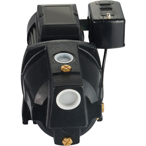 Pompe &agrave; jet en fonte &agrave; double tension pour puit peu profond, 115 V/230 V, 1100 gal./h, 1 CV Action Paper