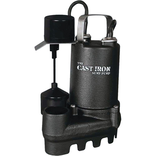 Pompe de puisard submersible en fonte avec interrupteur &agrave; flotteur vertical, 67 gal./min, 33 V, 5 A, 1/3 CV Action Paper