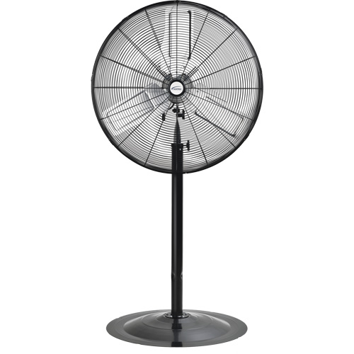 Non-Oscillating Pedestal Fan, Heavy-Duty, 2 Speed, 30" Diameter Action Paper