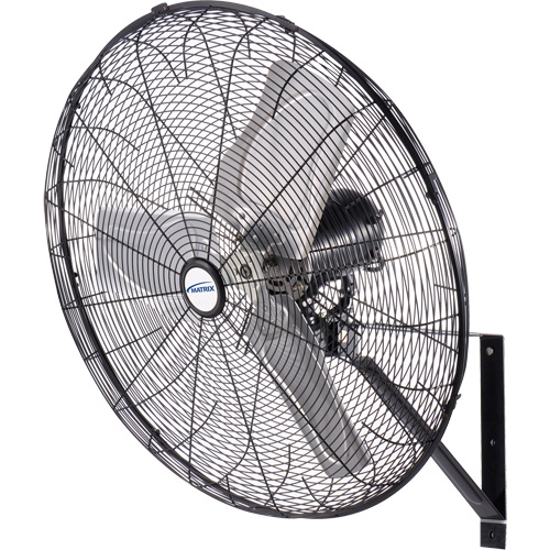 Waterproof Motor Misting & Oscillating Pedestal Fan, Industrial, 30" Dia., 3 Speeds Action Paper
