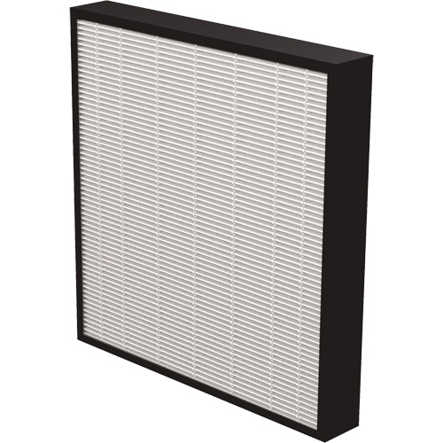 AeraMax&reg; Pro AM3 & AM4 2" True HEPA Filter, Box, 13.75" W x 2.25" D x 14.38" H Action Paper