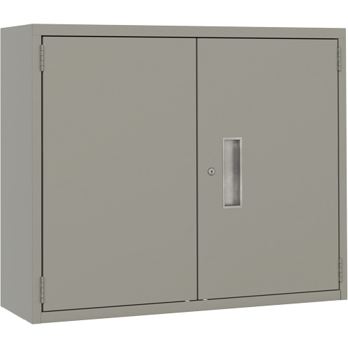 Wall Mounted Cabinet, Steel, 2 Shelves, 30" H x 36" W x 12" D, Grey Action Paper