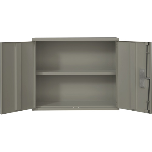 Wall Mounted Cabinet, Steel, 2 Shelves, 30" H x 36" W x 12" D, Grey Action Paper