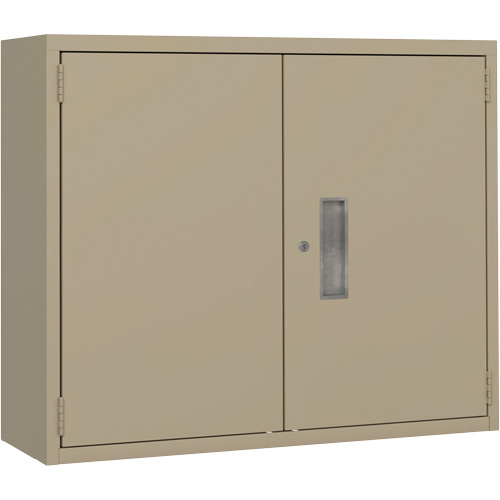 Wall Mounted Cabinet, Steel, 2 Shelves, 30" H x 36" W x 12" D, Beige Action Paper