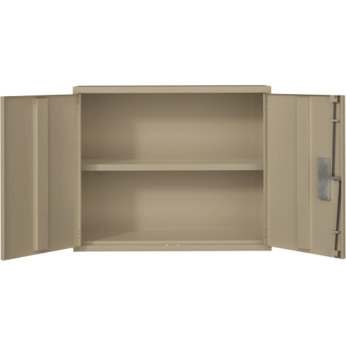 Wall Mounted Cabinet, Steel, 2 Shelves, 30" H x 36" W x 12" D, Beige Action Paper