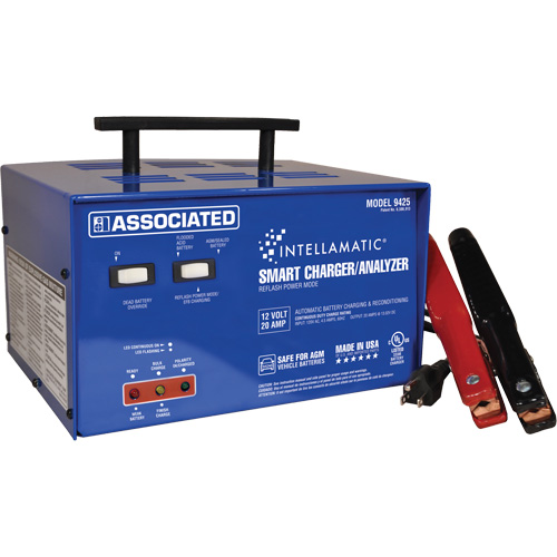 Intellamatic&reg; 12 Volt Charger, Analyzer & Power Supply Action Paper