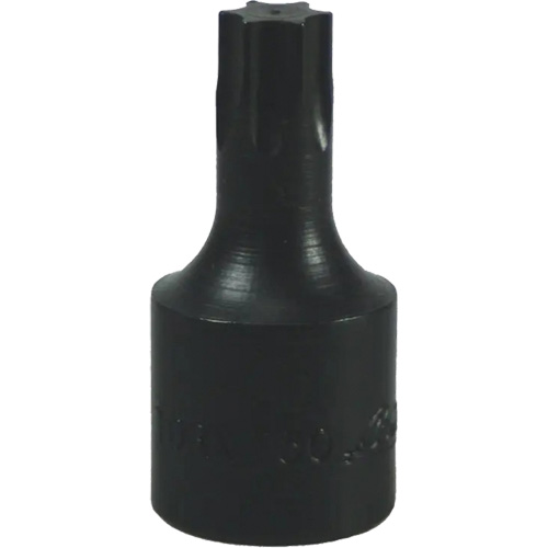 Embout Torx&reg; T-50 Action Paper
