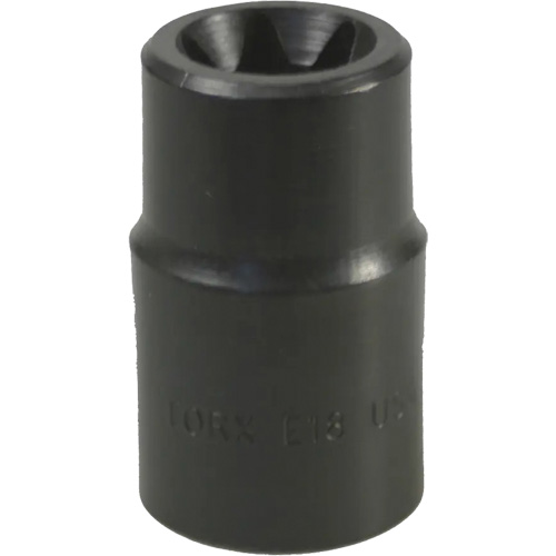 E-18 Torx&reg; Socket Action Paper