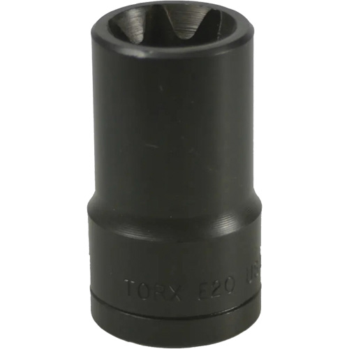 E-20 Torx&reg; Socket Action Paper