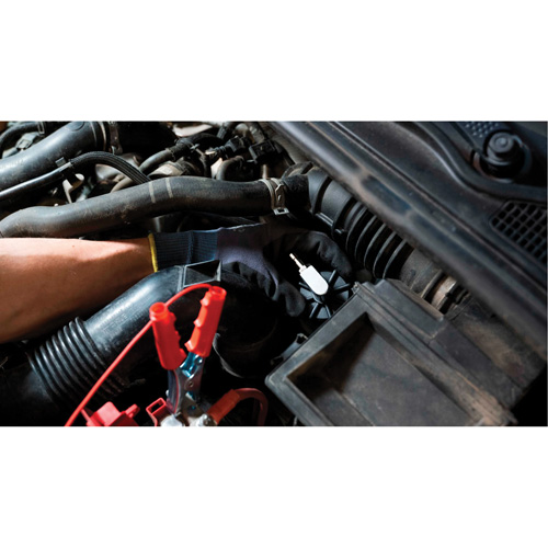Tall Frame Brake-Pro Pressure Brake Bleeder with Adapters Action Paper