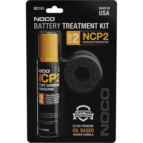 Anti-Corrosion Battery Terminal Treatment Kit Action Paper