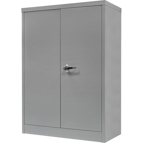 Counter-High Storage Cabinet, Steel, 2 Shelves, 42" H x 48" W x 24" D, Grey Action Paper