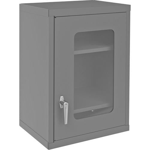Armoire de rangement murale avec portes transparentes, 26-15/16" h x 18-1/8" la x 13-11/16" p, 2 tablettes, Acier, Gris Action Paper