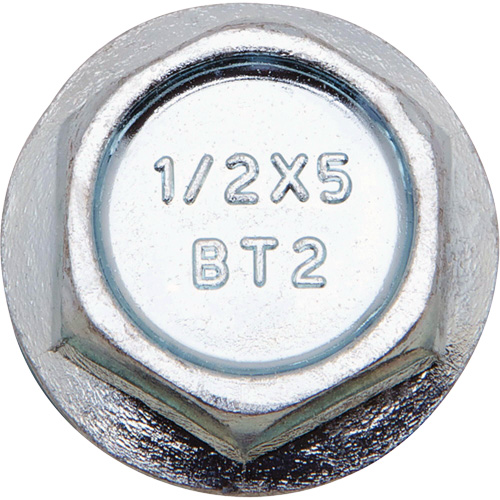 Boulons Wedge Bolts, Acier au carbone, 1/2" x 6" Action Paper