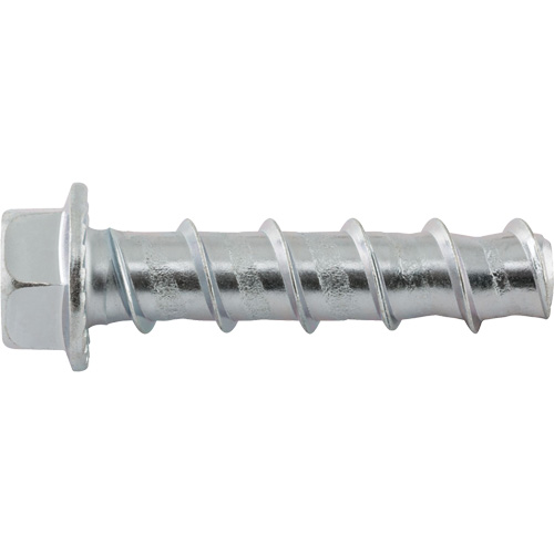 Wedge Bolts, Carbon Steel, 1/2" x 2-1/2" Action Paper