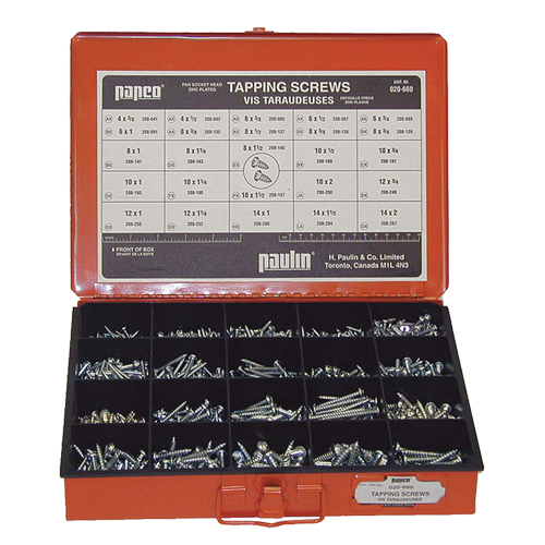 Assortiment de vis de taroudage de douille &agrave; pan Action Paper