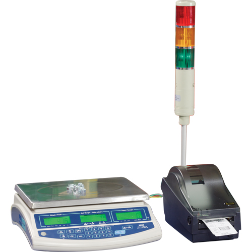 Balance pour compter Abacus AB30, Capacit&eacute; 60 lb / 30 kg, Graduations 0,001 lb / 0,5 g Action Paper