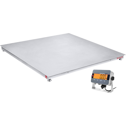 DEFENDER 3000 Washdown Floor Scale, 5000 lbs. Capacity, 48" W x 48" L Action Paper