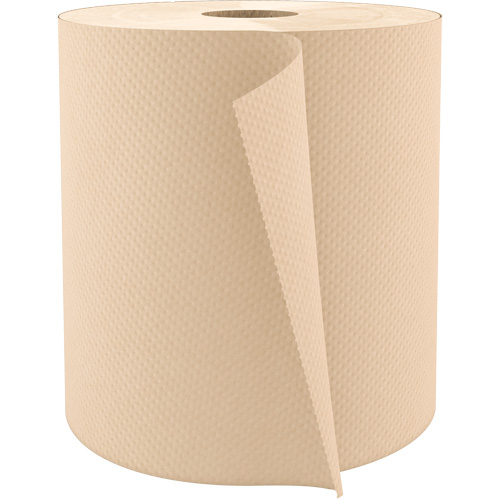 Pro Select Hardwound Hand Towels, 1 Ply, Standard, 800' L Action Paper