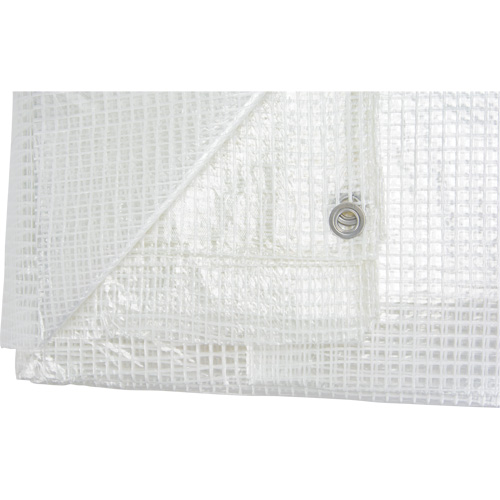 Clear Tarp, 60' x 40' x 8 mils Action Paper