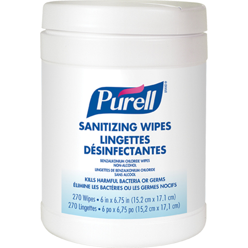 Hand Sanitizing Wipes, Canister Action Paper