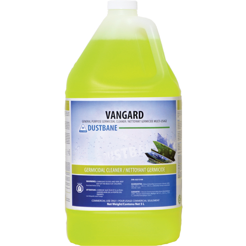 Nettoyant germicide d'usage g&eacute;n&eacute;ral Vangard, 5 L, Cruche Action Paper