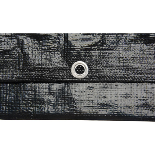 B&acirc;che, Usage industriel l&eacute;ger, Noir, 6' x 8' x 8 mils Action Paper