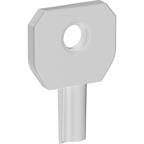 Cl&eacute; pour distributeur Lock or Not Action Paper