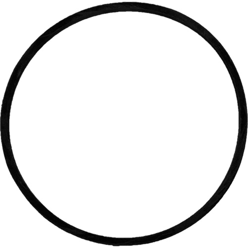 Courroie d'entrainement de rechange pour brosse Action Paper