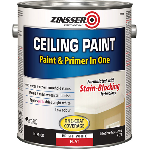 Ceiling Paint & Primer in One, White, Very Flat, 3.78 L, Gallon Action Paper