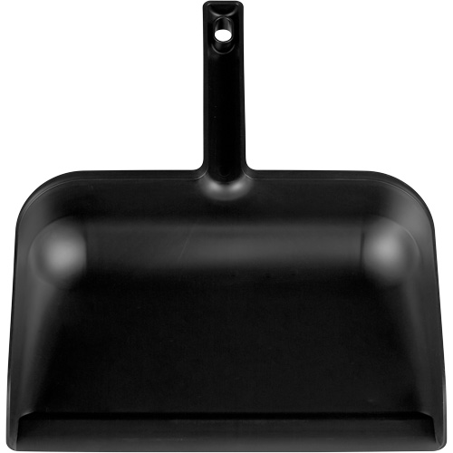 ColorCore Handheld Dustpan Action Paper