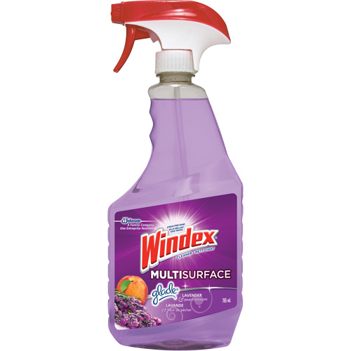 Windex&reg; Multi-Surface Cleaner, 765 ml, Trigger Bottle Action Paper