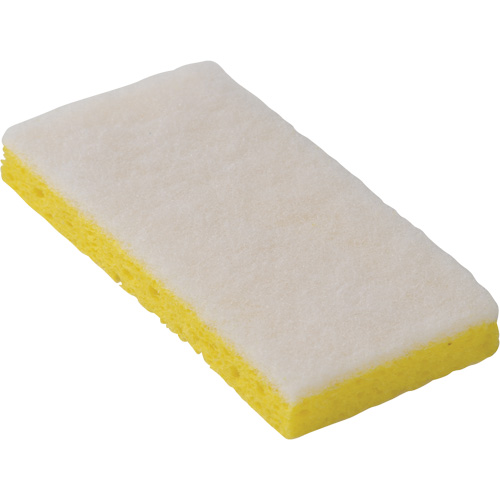 745W Light-Duty Scouring Sponges, 6-1/4" L x 3-1/5" W Action Paper