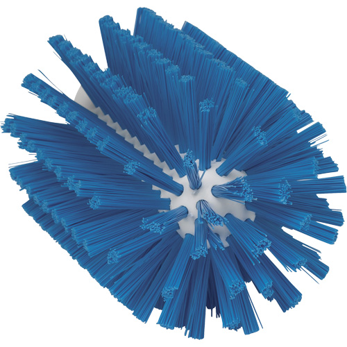Large Brush, Medium Bristles, 6" Long, Blue Action Paper