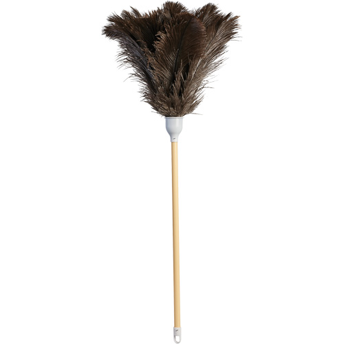 Superior Feather Duster, Ostrich Feather Action Paper