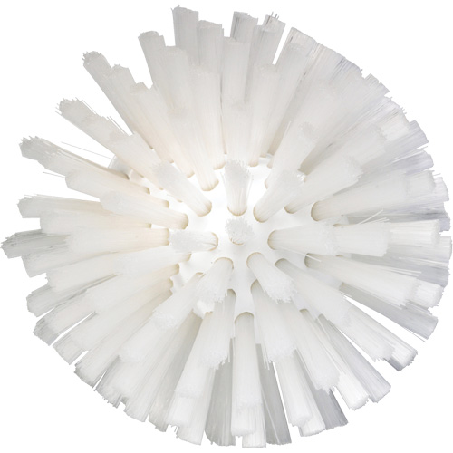 Brosse de 5", Soies Moyen, Longueur de 4-1/2", Blanc Action Paper