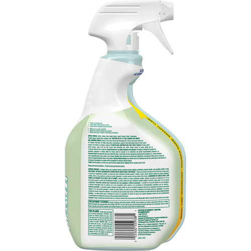 Nettoyant d&eacute;sinfectant CloroxPro Clorox EcoClean, 946 ml, Bouteille &agrave; g&acirc;chette Action Paper