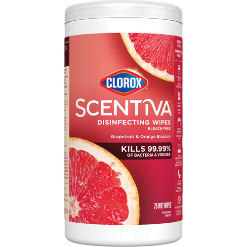 Disinfecting Wipes, 75 Count Action Paper