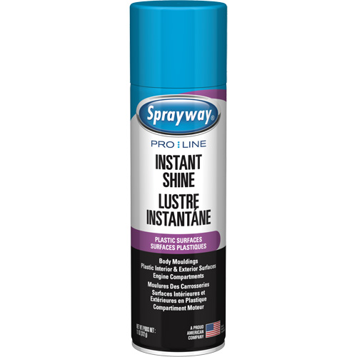 Brillant instantan&eacute; Pro Line pour surfaces en plastique, 11 oz, Canette a&eacute;rosol Action Paper