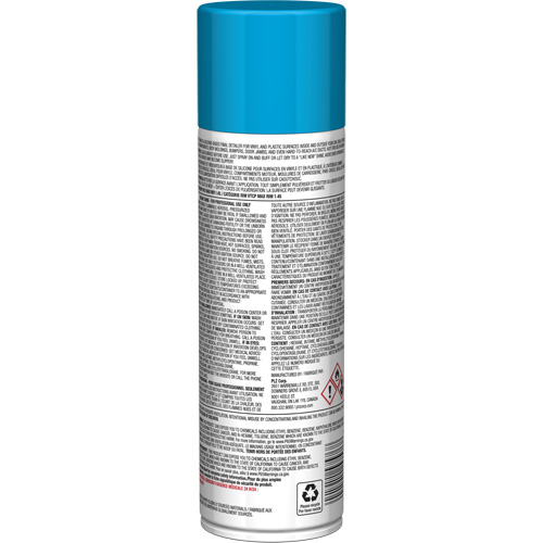 Brillant instantan&eacute; Pro Line pour surfaces en plastique, 11 oz, Canette a&eacute;rosol Action Paper